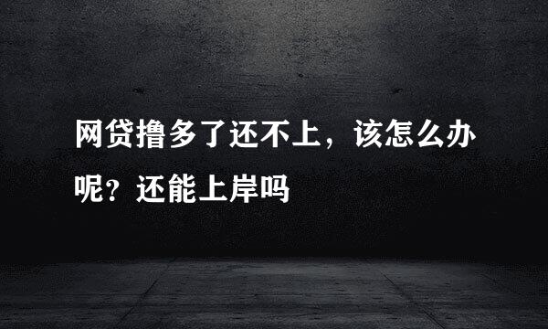 网贷撸多了还不上，该怎么办呢？还能上岸吗
