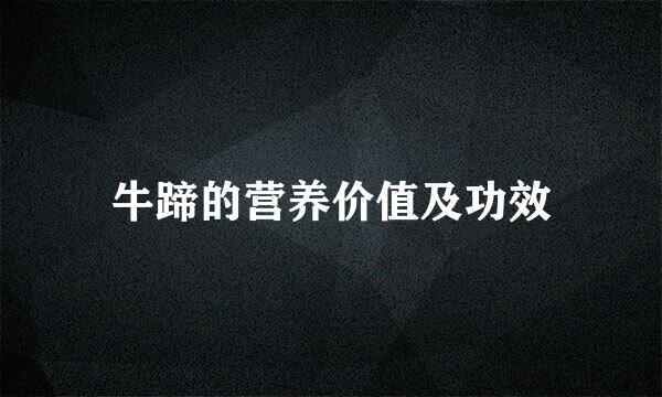 牛蹄的营养价值及功效