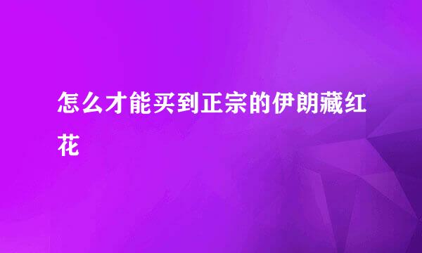 怎么才能买到正宗的伊朗藏红花