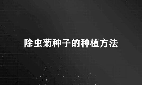 除虫菊种子的种植方法