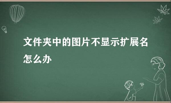 文件夹中的图片不显示扩展名怎么办