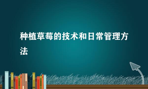 种植草莓的技术和日常管理方法