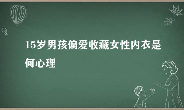 15岁男孩偏爱收藏女性内衣是何心理