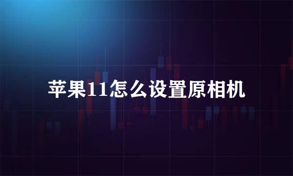 苹果11怎么设置原相机