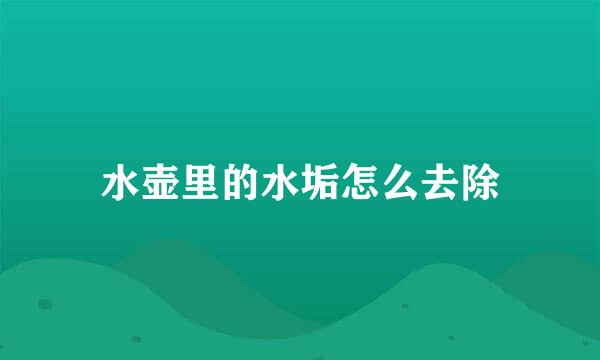 水壶里的水垢怎么去除