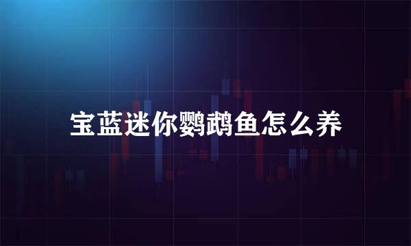 宝蓝迷你鹦鹉鱼怎么养