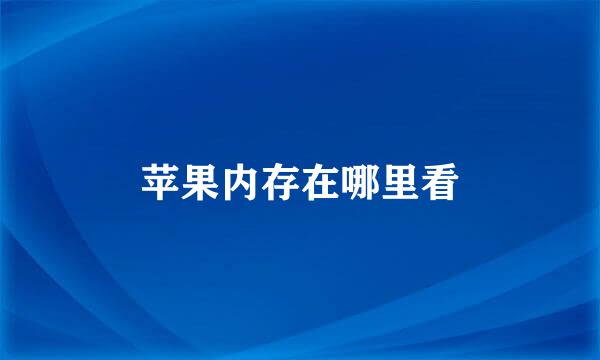 苹果内存在哪里看