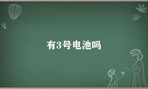 有3号电池吗