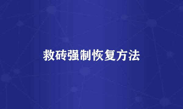 救砖强制恢复方法