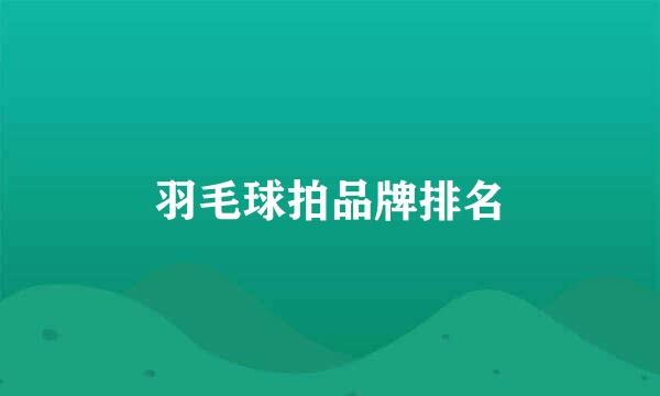 羽毛球拍品牌排名