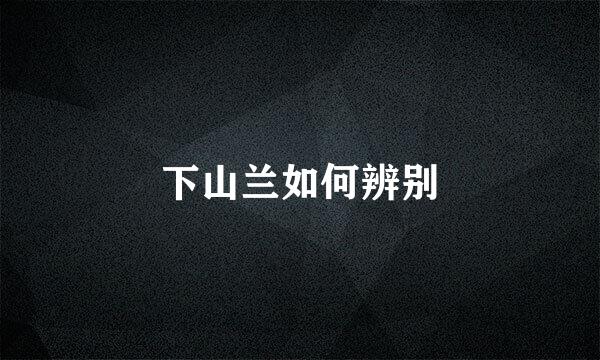 下山兰如何辨别