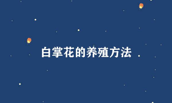 白掌花的养殖方法