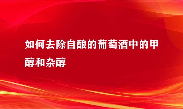 如何去除自酿的葡萄酒中的甲醇和杂醇