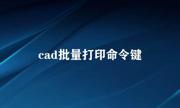 cad批量打印命令键