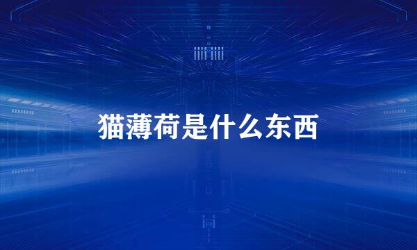 猫薄荷是什么东西
