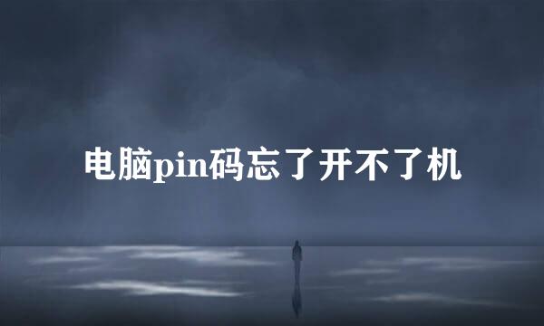 电脑pin码忘了开不了机