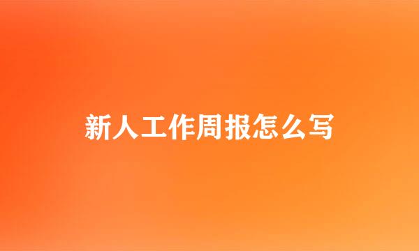 新人工作周报怎么写