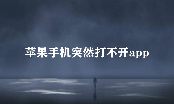 苹果手机突然打不开app