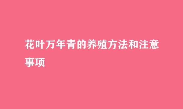 花叶万年青的养殖方法和注意事项