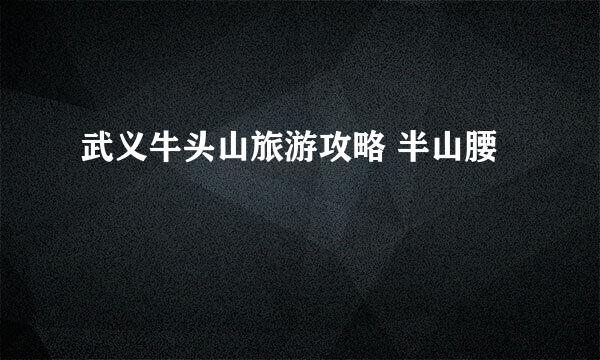 武义牛头山旅游攻略 半山腰