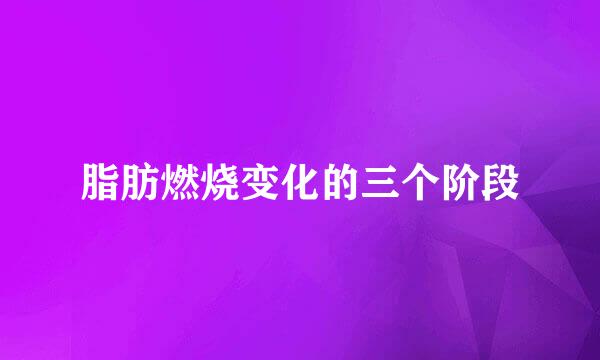 脂肪燃烧变化的三个阶段