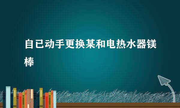 自已动手更换某和电热水器镁棒