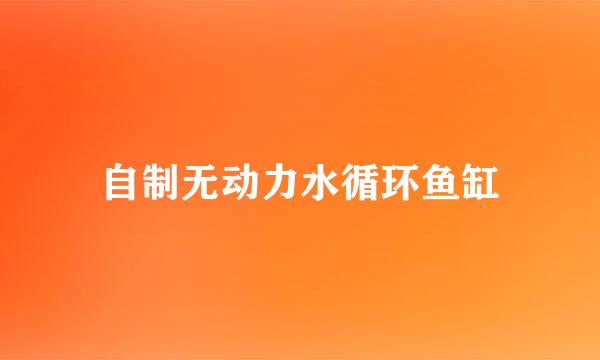 自制无动力水循环鱼缸