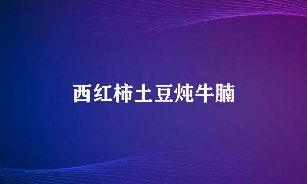 西红柿土豆炖牛腩