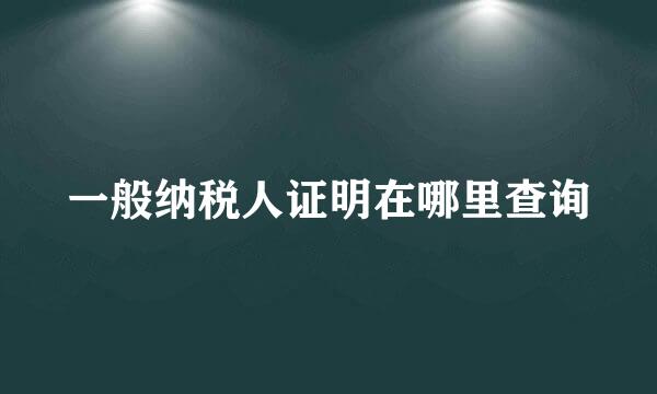 一般纳税人证明在哪里查询