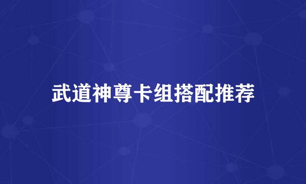 武道神尊卡组搭配推荐