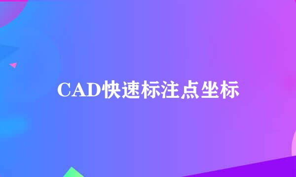 CAD快速标注点坐标