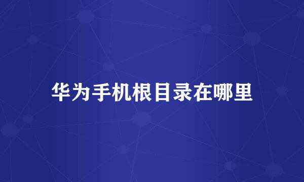华为手机根目录在哪里