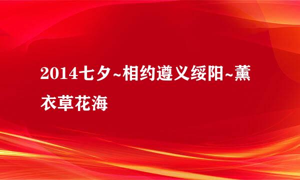 2014七夕~相约遵义绥阳~薰衣草花海