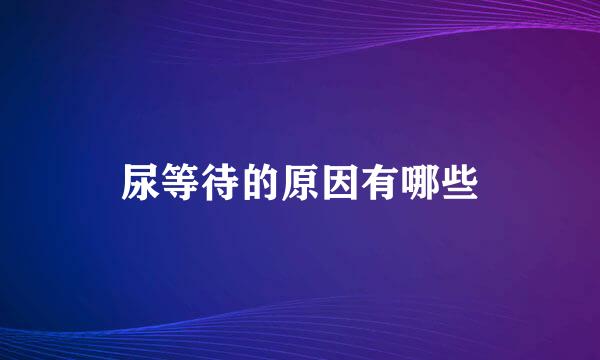 尿等待的原因有哪些