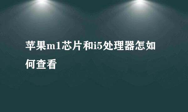 苹果m1芯片和i5处理器怎如何查看