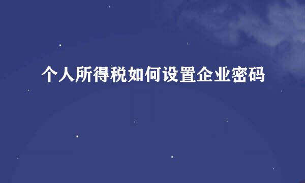 个人所得税如何设置企业密码