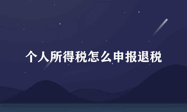 个人所得税怎么申报退税