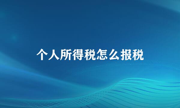 个人所得税怎么报税