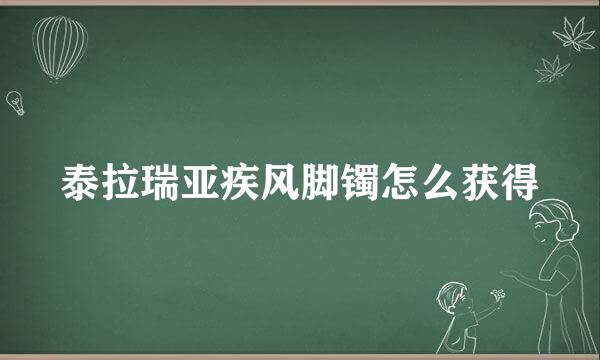 泰拉瑞亚疾风脚镯怎么获得