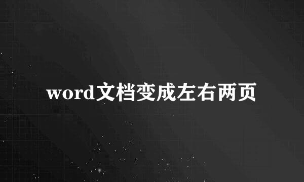 word文档变成左右两页
