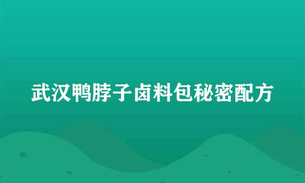 武汉鸭脖子卤料包秘密配方