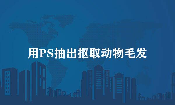 用PS抽出抠取动物毛发