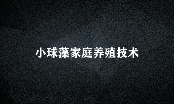 小球藻家庭养殖技术