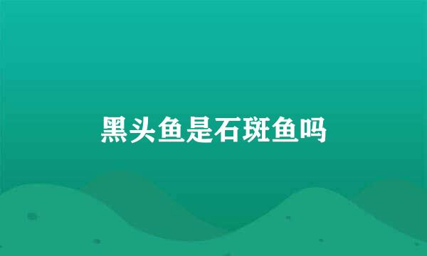 黑头鱼是石斑鱼吗