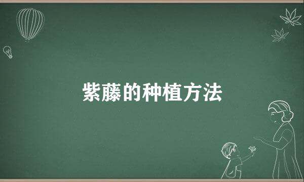 紫藤的种植方法