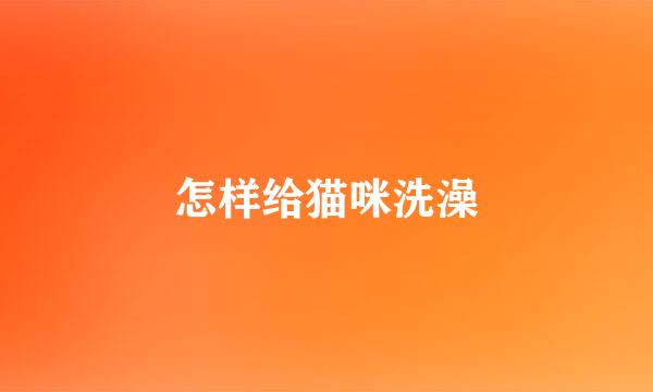 怎样给猫咪洗澡