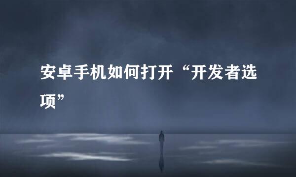 安卓手机如何打开“开发者选项”