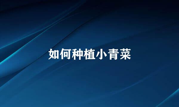 如何种植小青菜