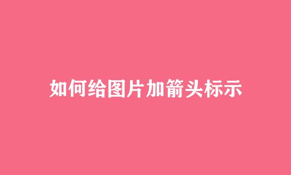 如何给图片加箭头标示