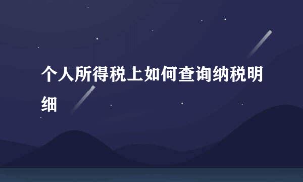 个人所得税上如何查询纳税明细